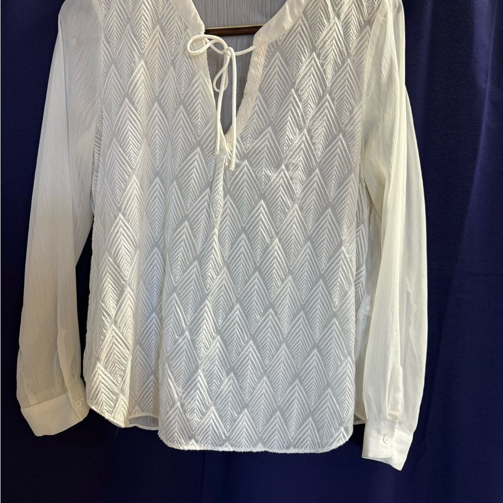 Banana Republic Ivory Embroidered Boho Blouse L Tie Neck Sheer Sleeves